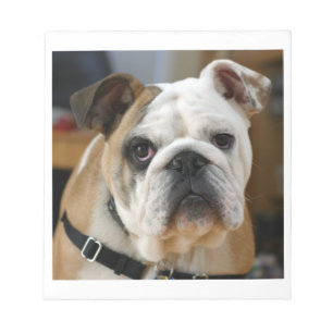 Bulldog.png Notizblock