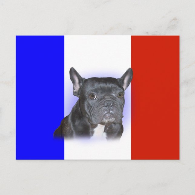 Bulldog Postkarte (Vorderseite)