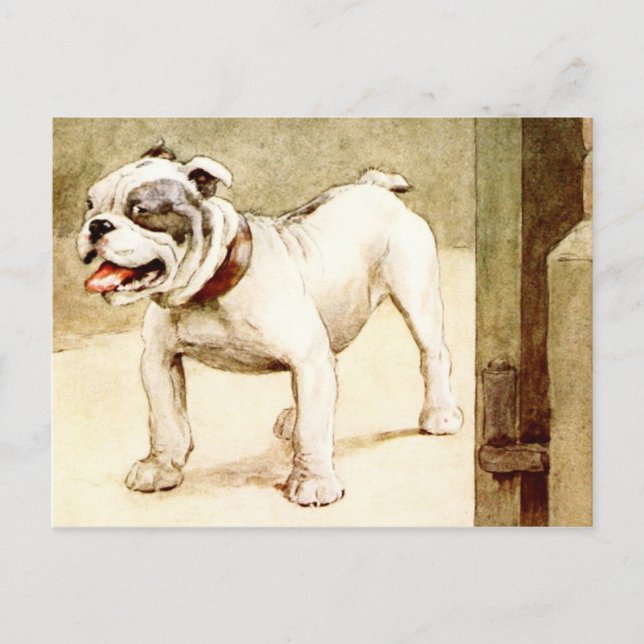 Bulldog Postkarte (Vorderseite)