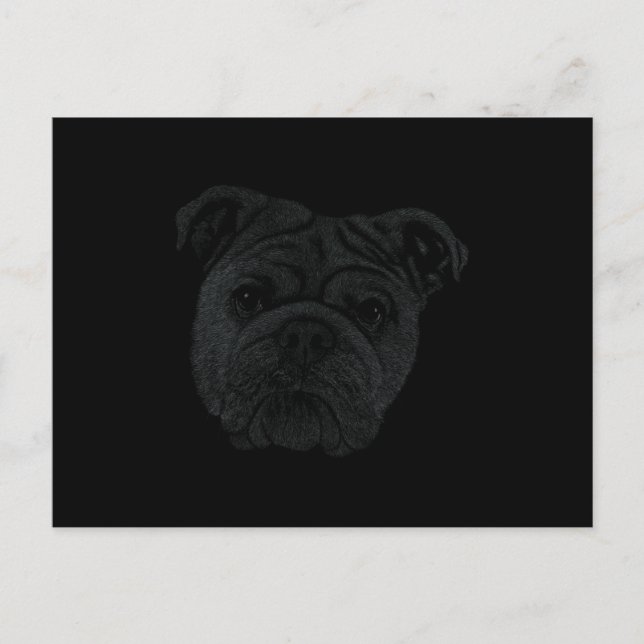 Bulldog Postkarte (Vorderseite)