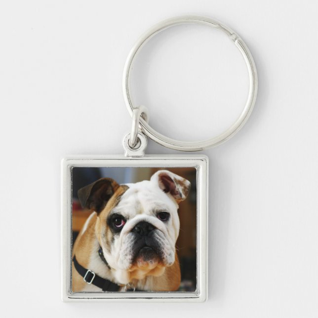 Bulldog Premium Schlüsselanhänger (Vorne)