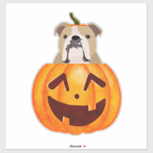 Bulldog Pumpkin-Sticker Aufkleber