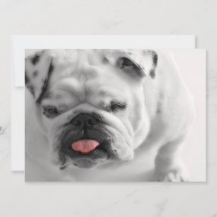 Bulldog-Puppe Einladung
