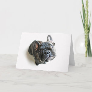 Bulldog-Puppe Karte