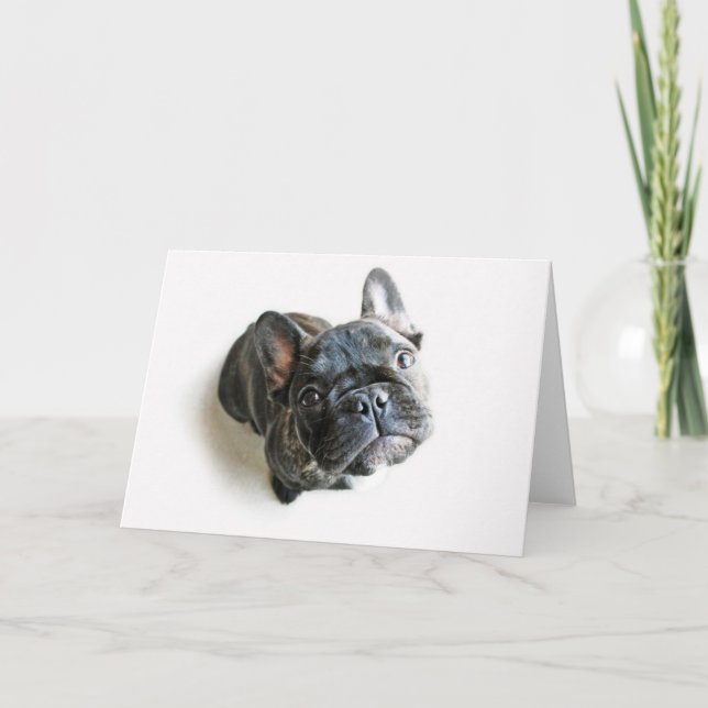 Bulldog-Puppe Karte (Vorderseite)