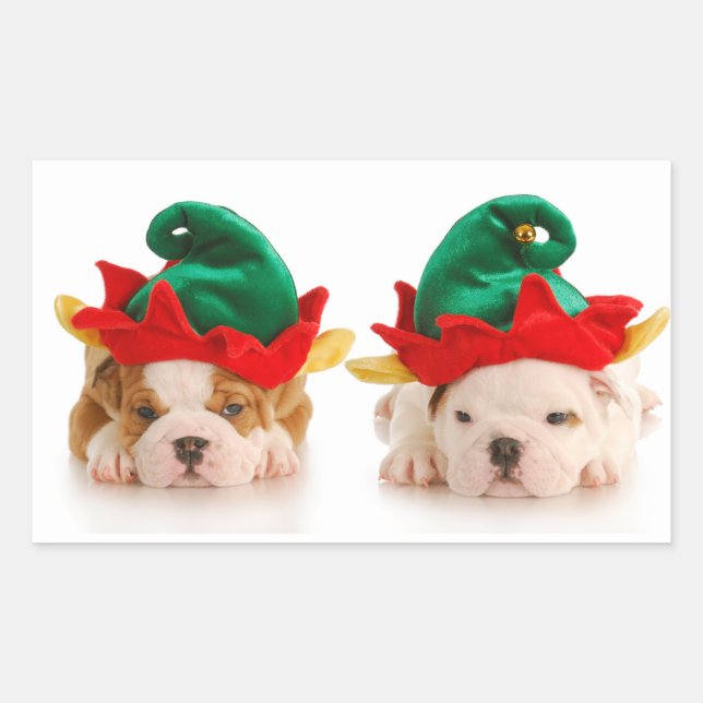 BULLDOG PUPPIES ALS ELVES CUSTOM STICKER (Vorderseite)