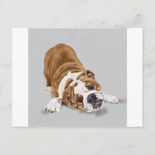 Bulldog Puppy beim Spielen Postkarte