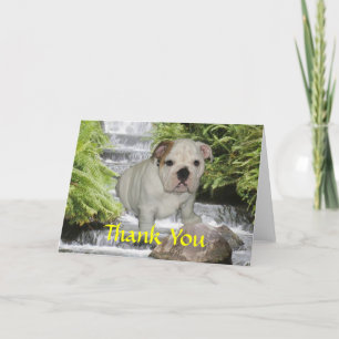 Bulldog Puppy Thank You Card Dankeskarte