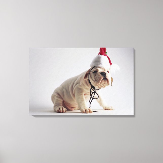 Bulldog Puppy Wear Weihnachtsmannmütze Leinwanddruck (Vorderseite)