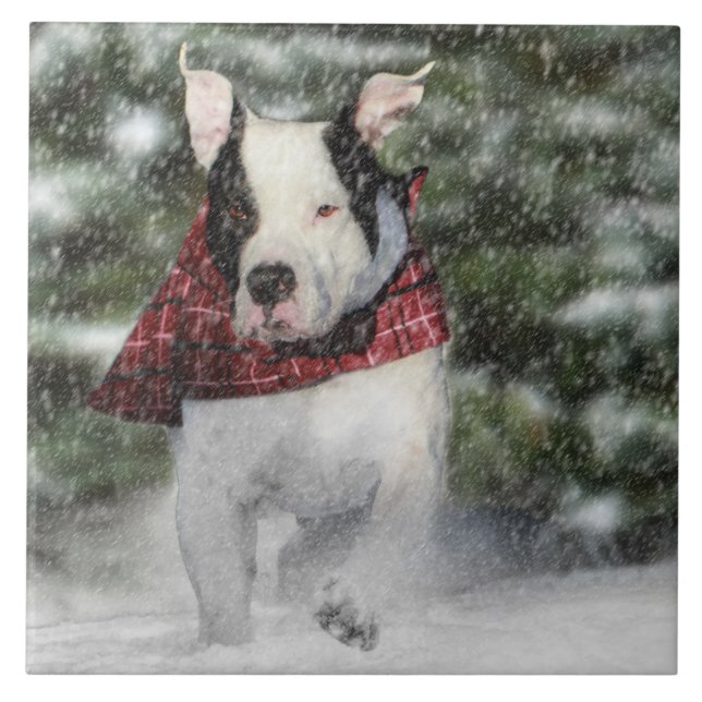 Bulldog Rescue Pup Dashing durch den Schnee Fliese (Vorderseite)