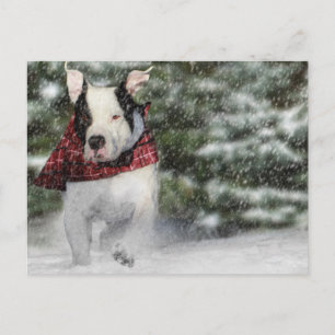 Bulldog Rescue Pup Dashing durch den Schnee Postkarte