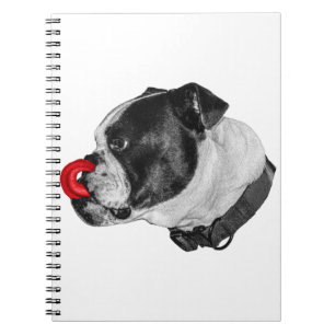 Bulldog-Rot-Akzent-Notizen Notizblock