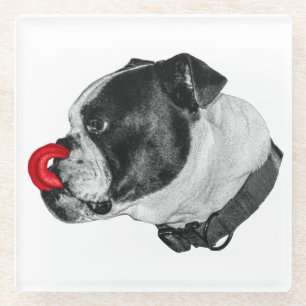 Bulldog-Rot-Akzent-Unterlage Glasuntersetzer