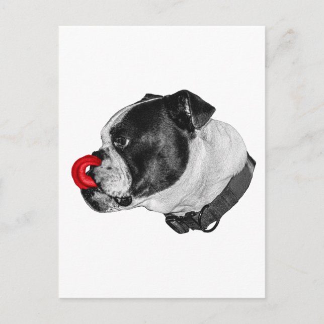 Bulldog Rotakzent-Mail Postkarte (Vorderseite)