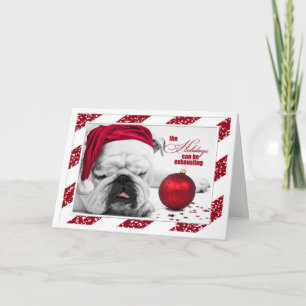 Bulldog schläft durch Weihnachten