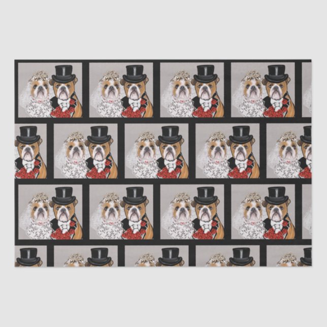 Bulldog Seidenpapier (Vorderseite)