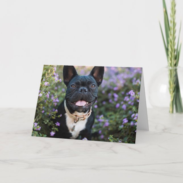 Bulldog-Stände in Blume Karte (Vorderseite)