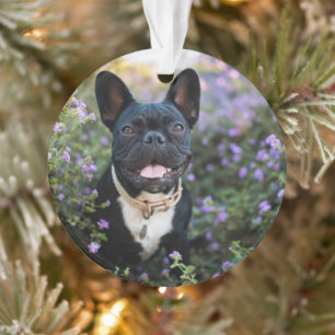 Bulldog-Stände in Blume Ornament
