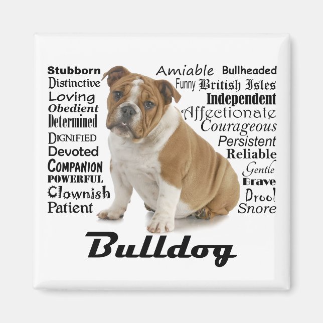 Bulldog Tracks Magnet (Vorne)