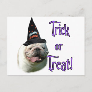 Bulldog Trick Postkarte