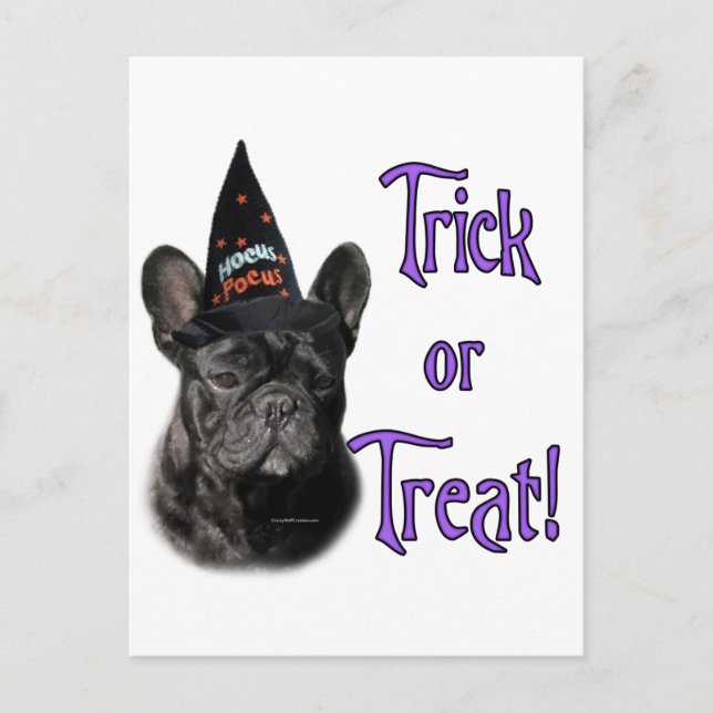 Bulldog Trick Postkarte (Vorderseite)