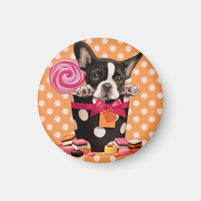 Bulldog und Candy Magnet (Vorne)