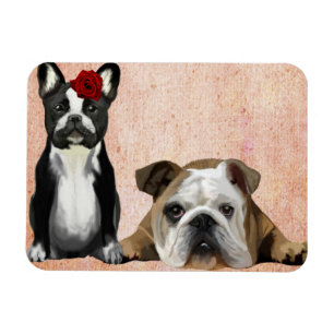 Bulldog und English Bulldog Magnet