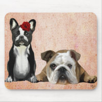 Bulldog und English Bulldog