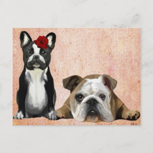 Bulldog und English Bulldog Postkarte