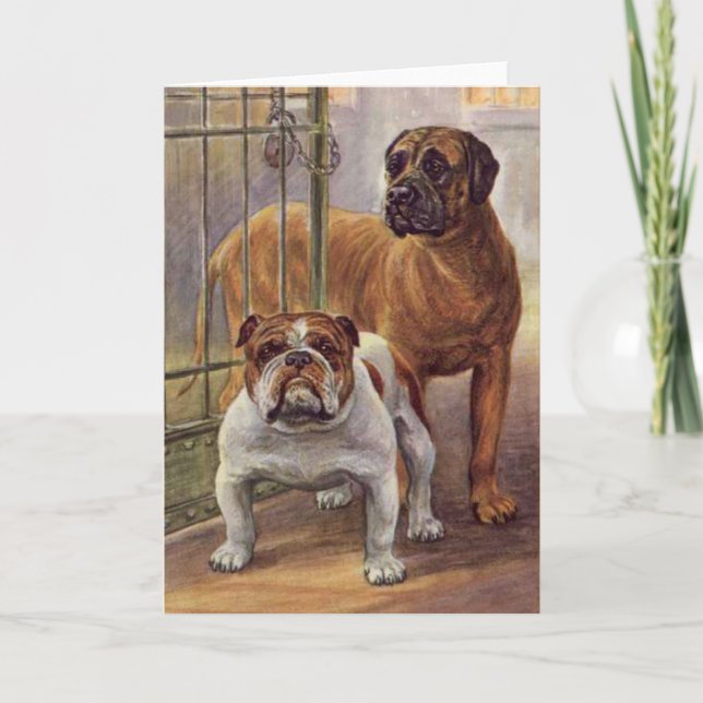 Bulldog und Mastiff Vintage Grußkarte Karte (Vorderseite)