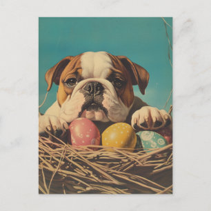 Bulldog Vintag Ostern Postkarte