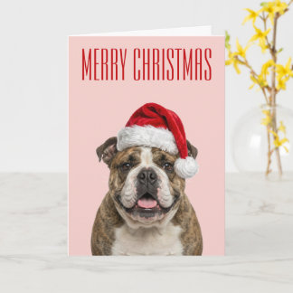 Bulldog-Weihnachtsfreude Karte