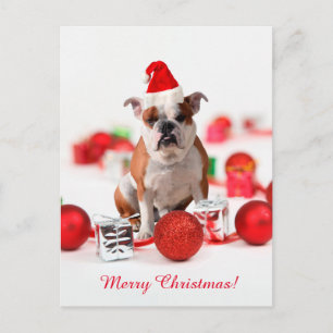 Bulldog-Weihnachtsgeschenk-Schmuck mit roter Santa Feiertagspostkarte