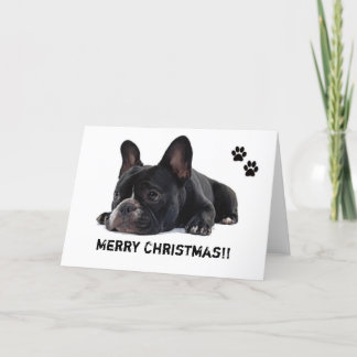 Bulldog Weihnachtskarte Feiertagskarte