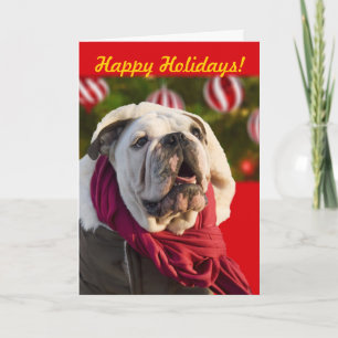 Bulldog Weihnachtskarten Feiertagskarte