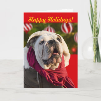 Bulldog Weihnachtskarten Feiertagskarte