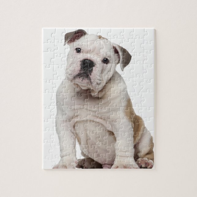 Bulldog Welpe (2 Monate alt) Puzzle (Vertikal)
