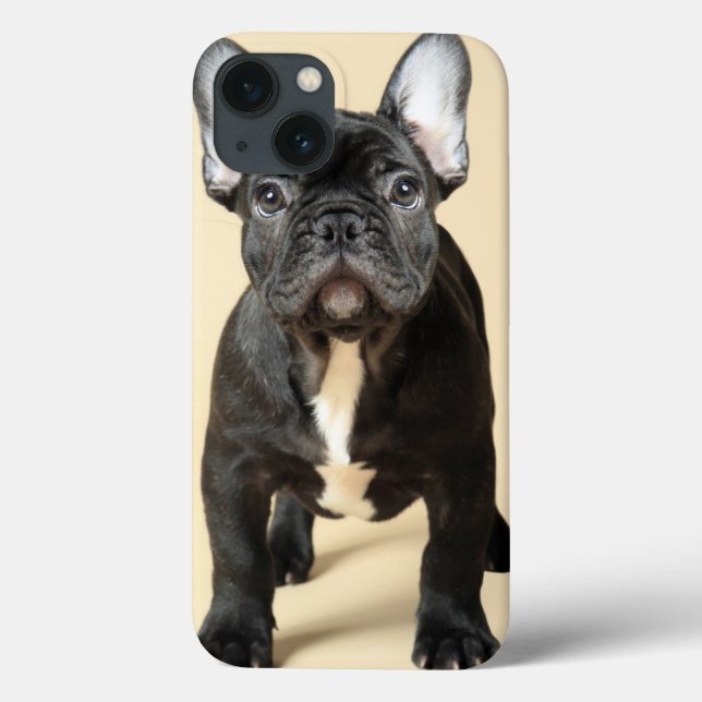 Bulldog Welpe Case-Mate iPhone Hülle (Rückseite)
