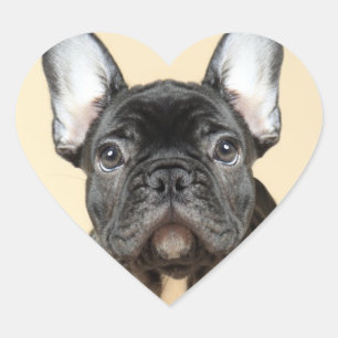 Bulldog Welpe Herz-Aufkleber