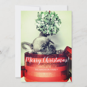 Bulldog-Welpe in Geschenkboxen mit Mistletoe Feiertagskarte