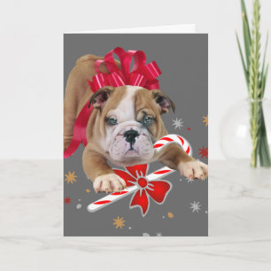 Bulldog Welpe mit der Weihnachtskarte mit rotem Bu Feiertagskarte