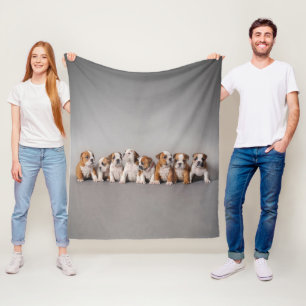 Bulldog Welpen, Niedlich Englisch Bulldog Welpen Fleecedecke
