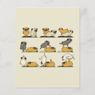 Bulldog-Yoga-Posen   Hunde Yoga Liebhaber Flyer