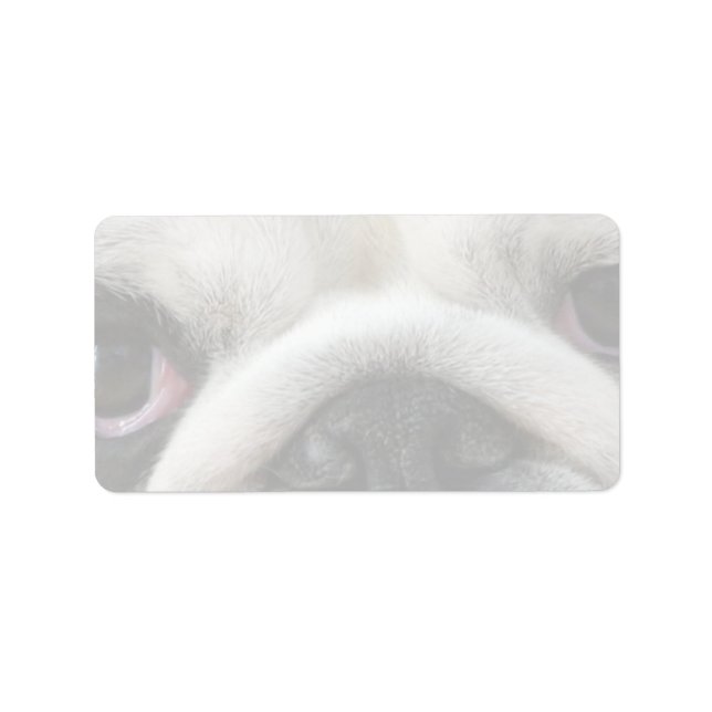 Bulldogg-Augen Adressaufkleber (Vorne)