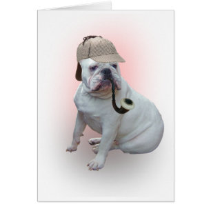 Bulldogge