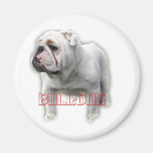 Bulldogge ブルドッグ magnet