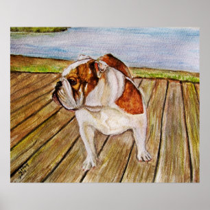 Bulldogge auf der Promenade Poster