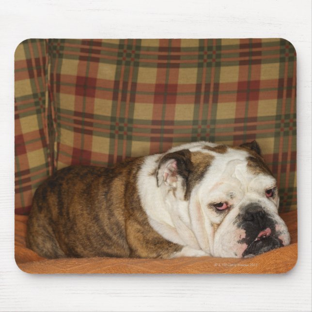 Bulldogge auf einem Sofa Mousepad (Vorne)