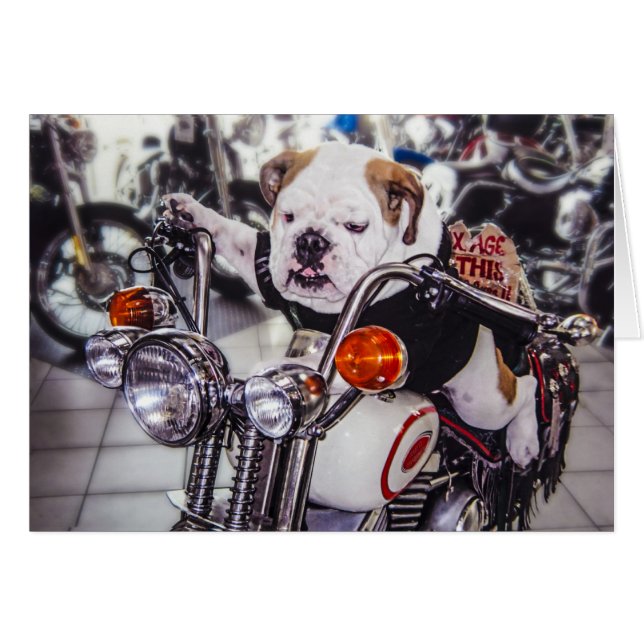 Bulldogge auf Motorrad (Vorderseite (Horizontal))