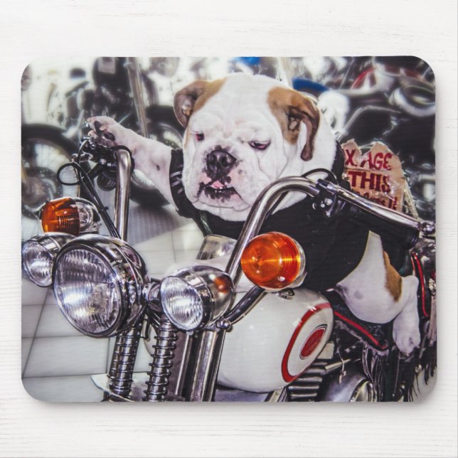 Bulldogge auf Motorrad Mousepad (Vorne)
